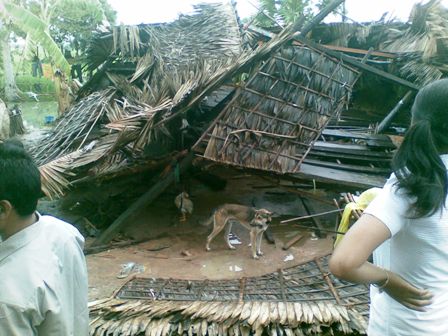 10年ぶりの台風がカンボジアを襲う 活動ブログ 認定npo法人かものはしプロジェクト